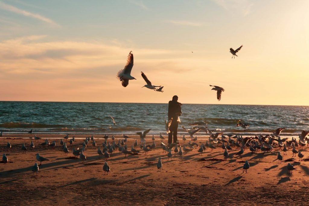 West Beach Adelaide